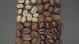 Photo Coffee beans